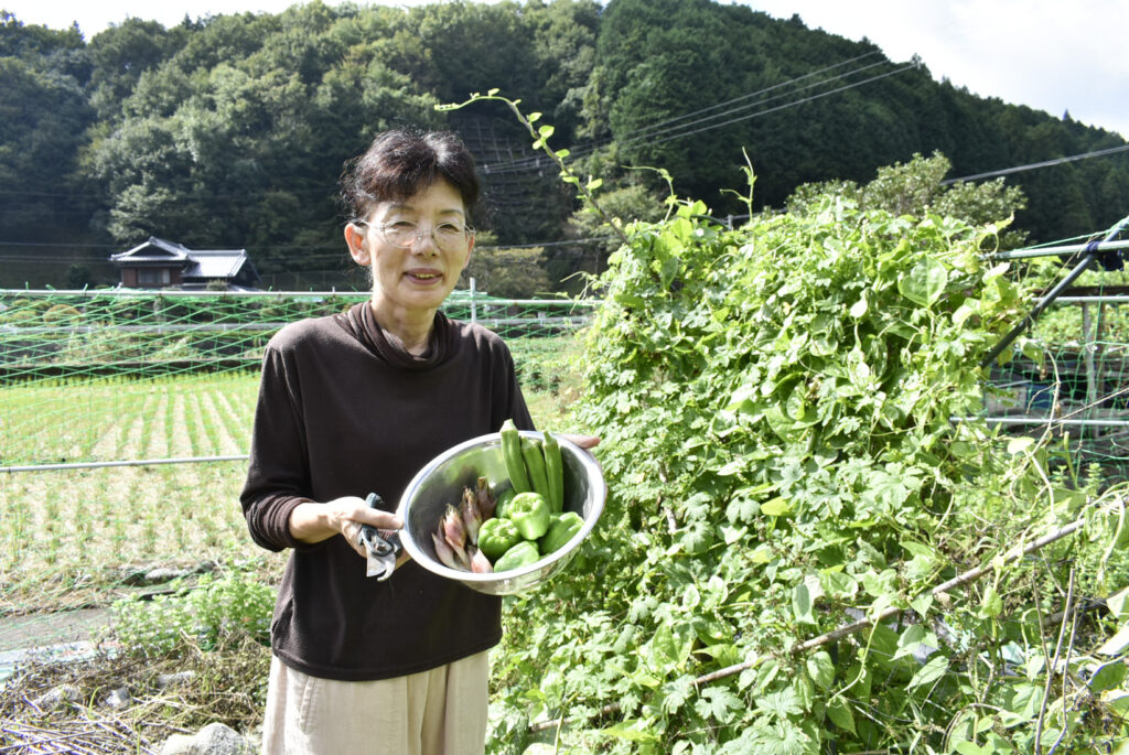 四季折々の野菜の収穫体験