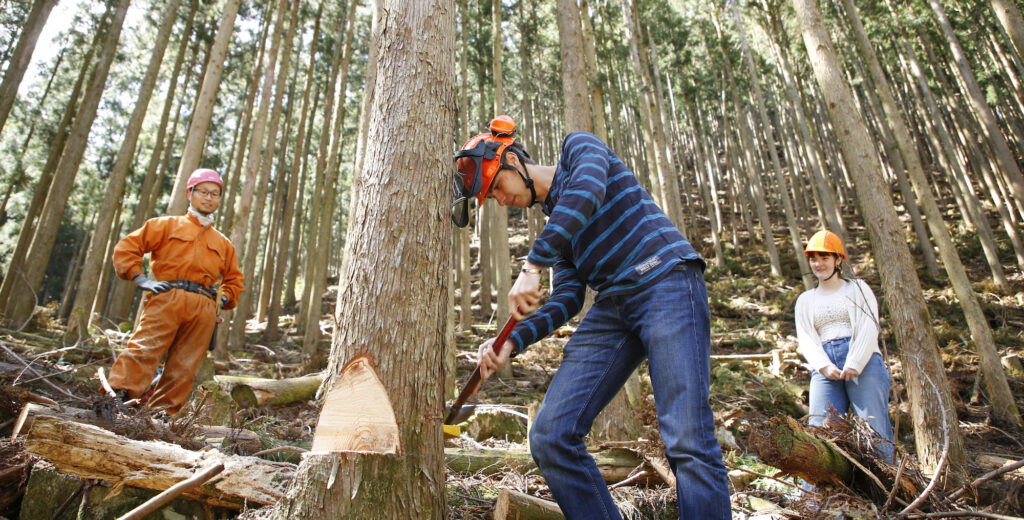 模型计划“体验伐木工人的生活”入住温泉度假村