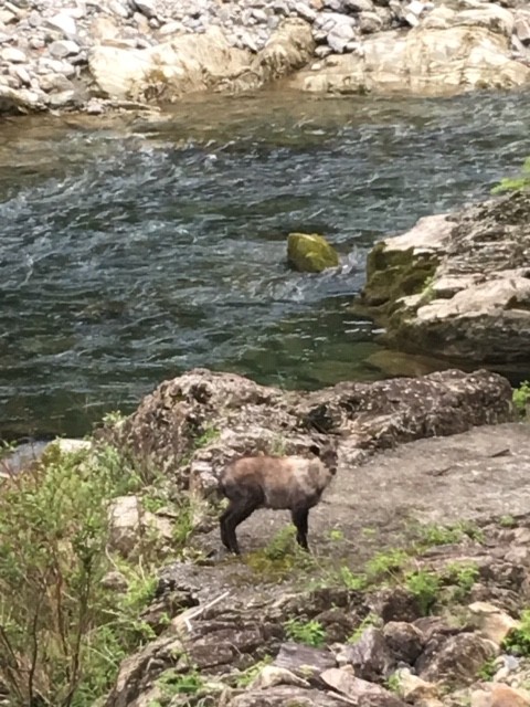 亀成園（かめなりえん）