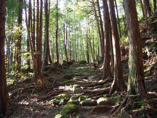 お散歩は世界遺産②