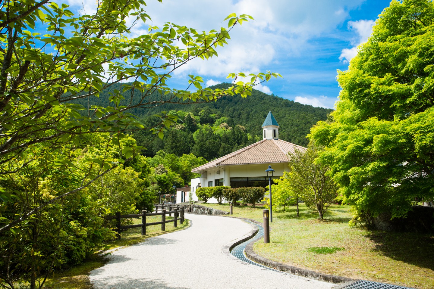 Okuise Forestopia