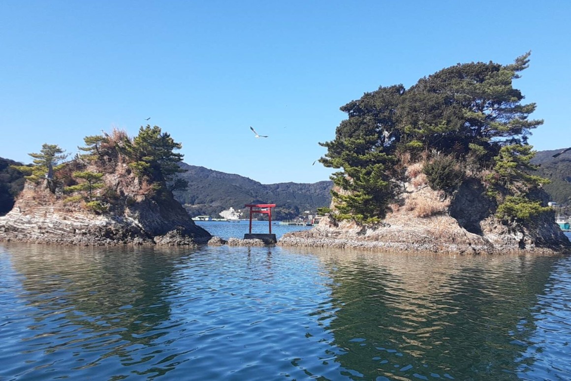 ふたご岩（迫間浦天王祭）