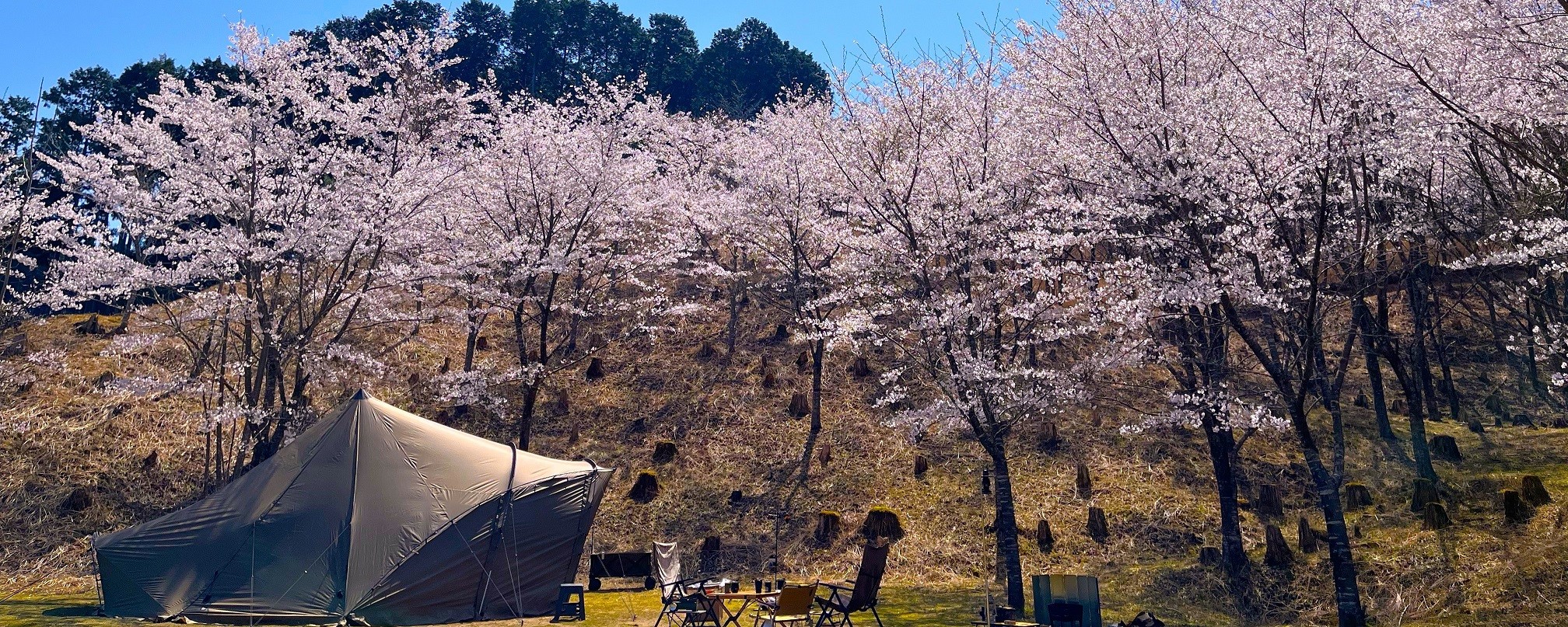 Tuning Camp in the Ninja's forest, where "the five senses are attuned".