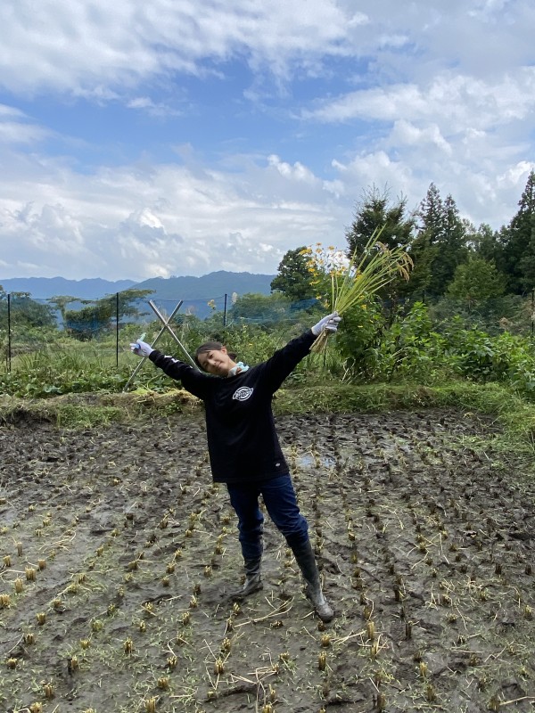 小さい田んぼ、畑で農業体験