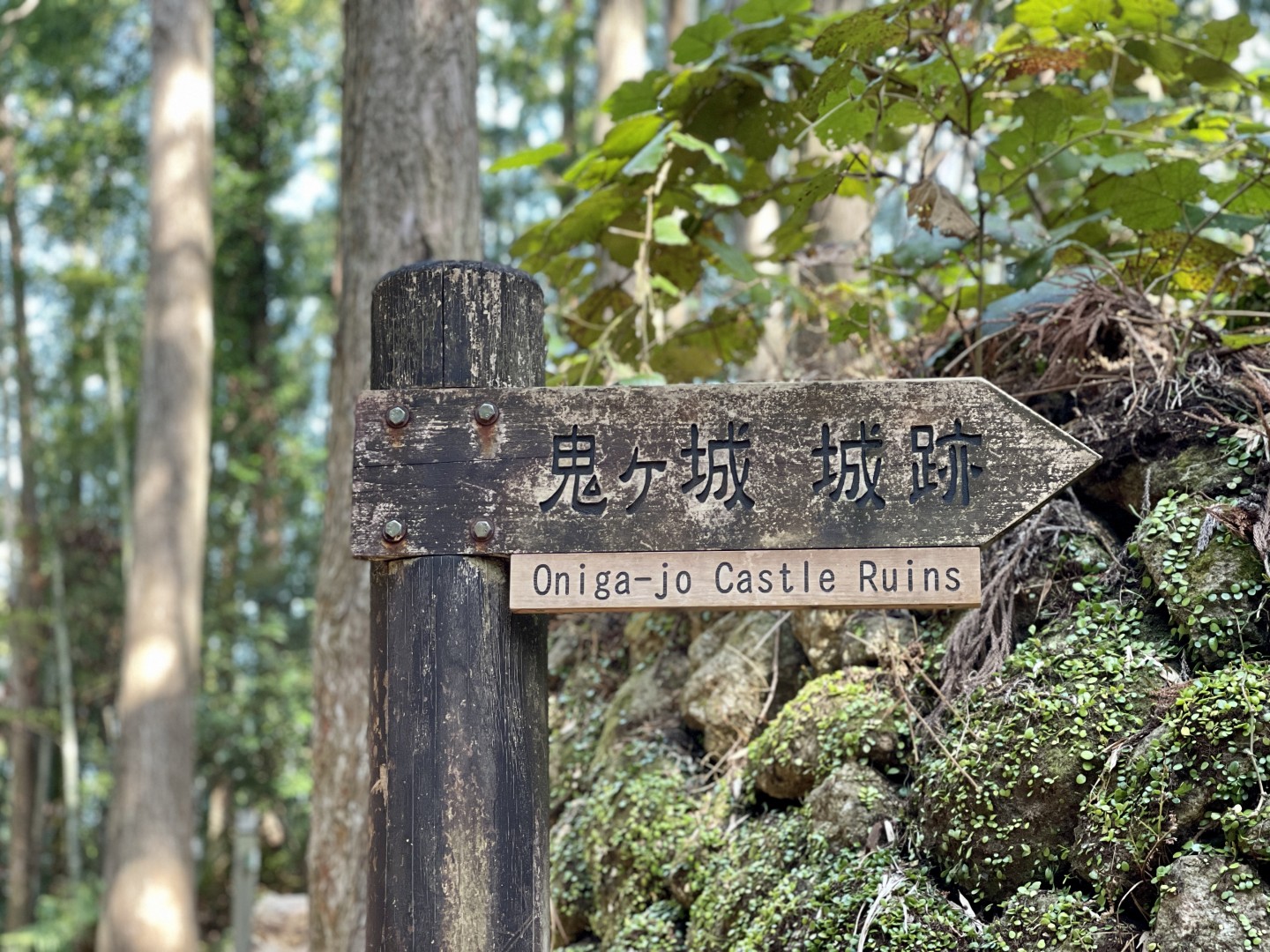 海、山、人を通じて体験した熊野の日常。長期滞在がおすすめの熊野流ワーケーションステイ。