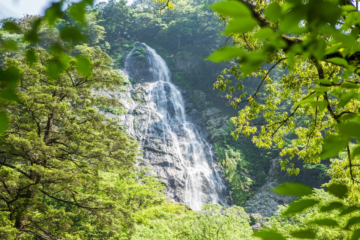 Verde 大台ツーリズム