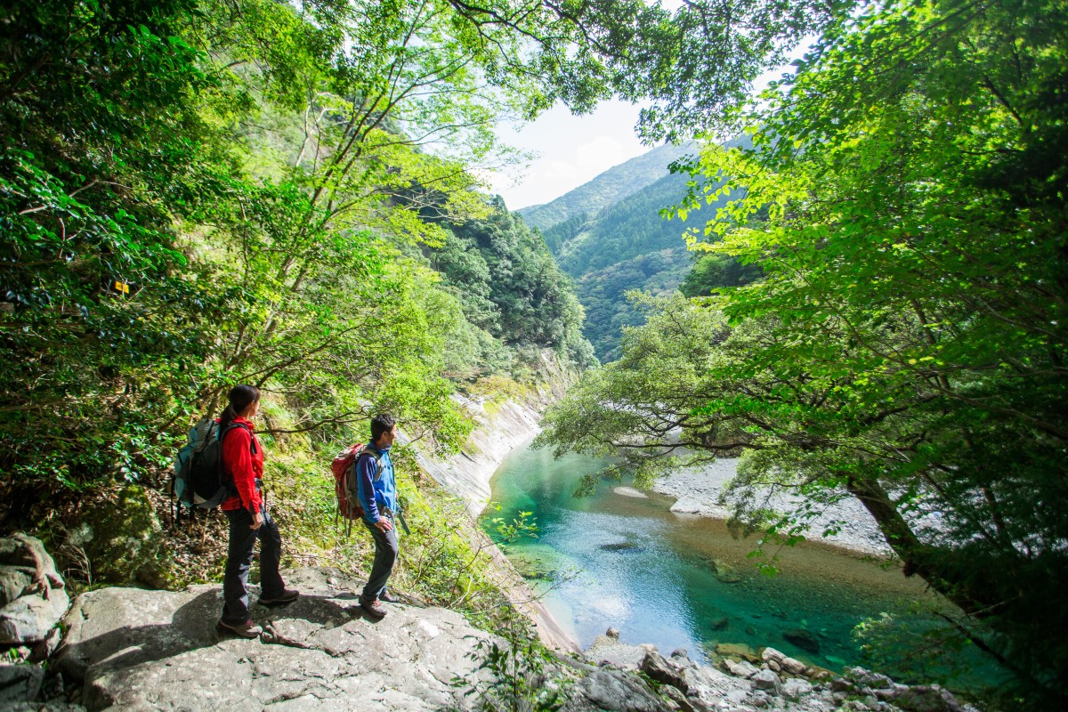 Verde 大台ツーリズム