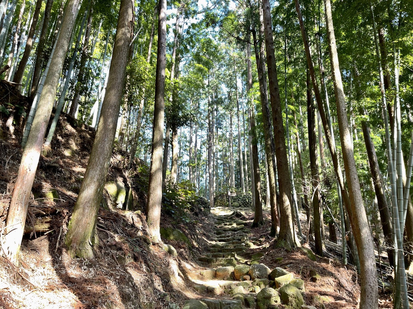 海、山、人を通じて体験した熊野の日常。長期滞在がおすすめの熊野流ワーケーションステイ。