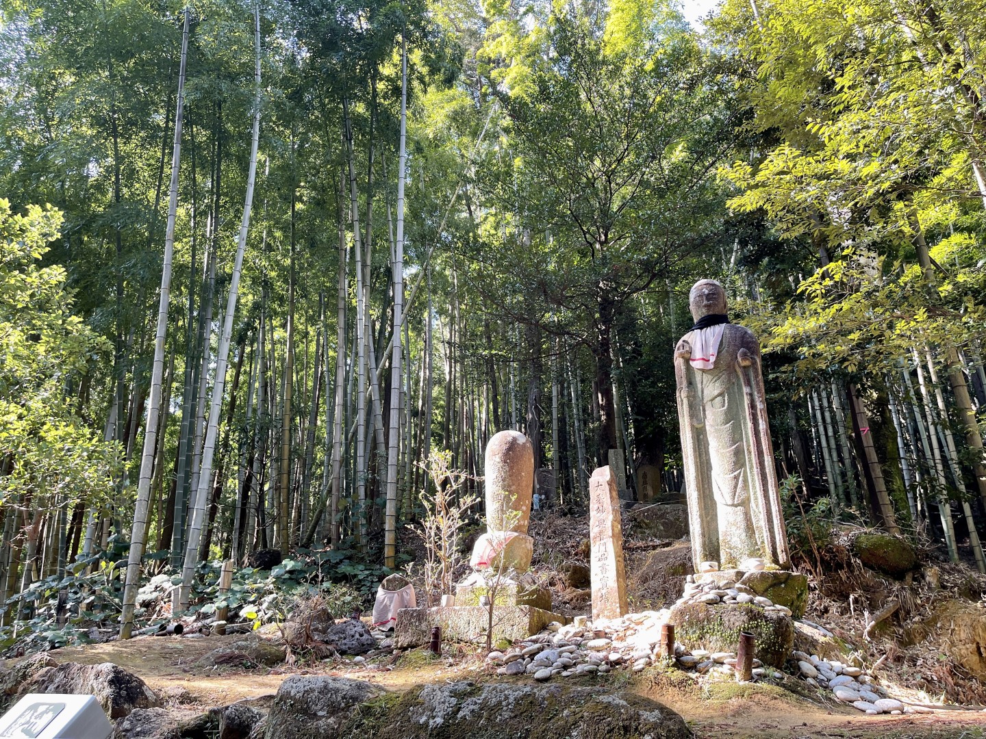 海、山、人を通じて体験した熊野の日常。長期滞在がおすすめの熊野流ワーケーションステイ。