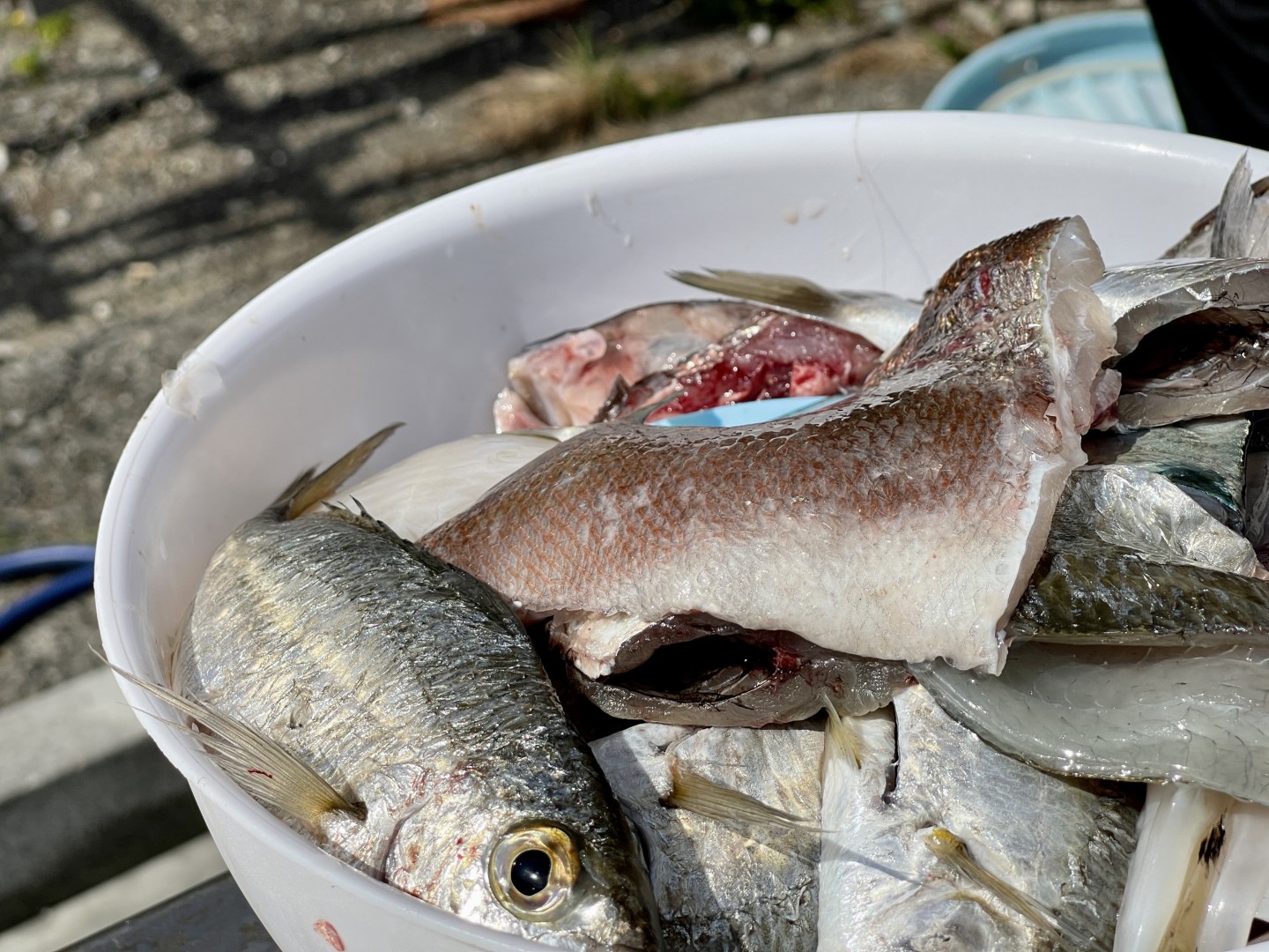 海、山、人を通じて体験した熊野の日常。長期滞在がおすすめの熊野流ワーケーションステイ。