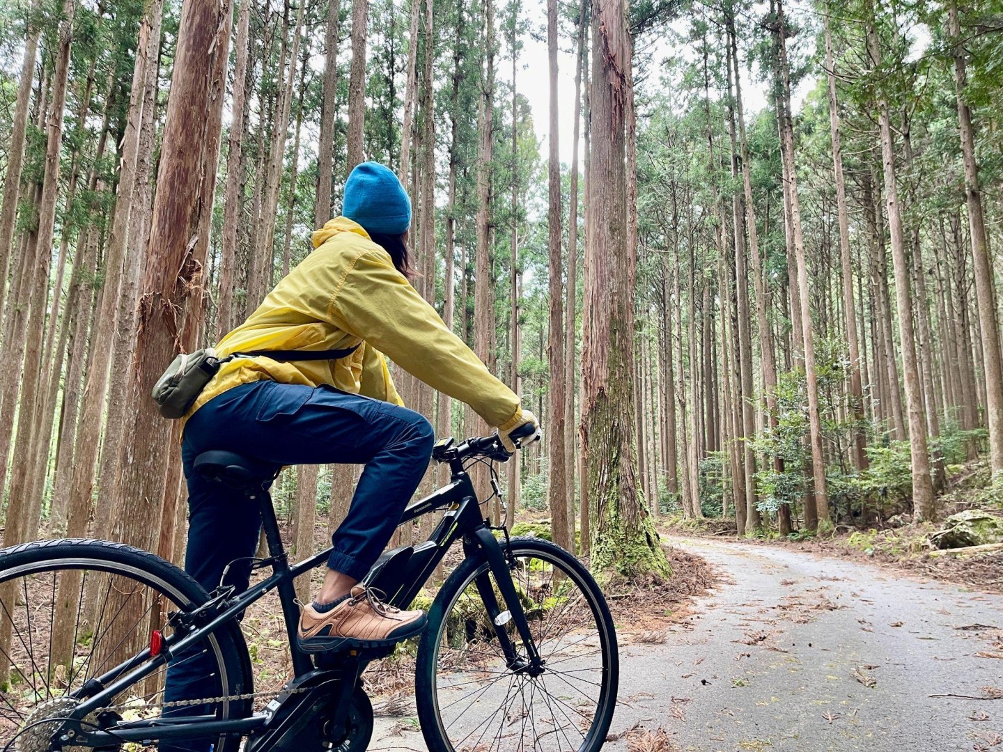 E-bikeの森林サイクリングでリフレッシュする山荘ワーケーションステイ