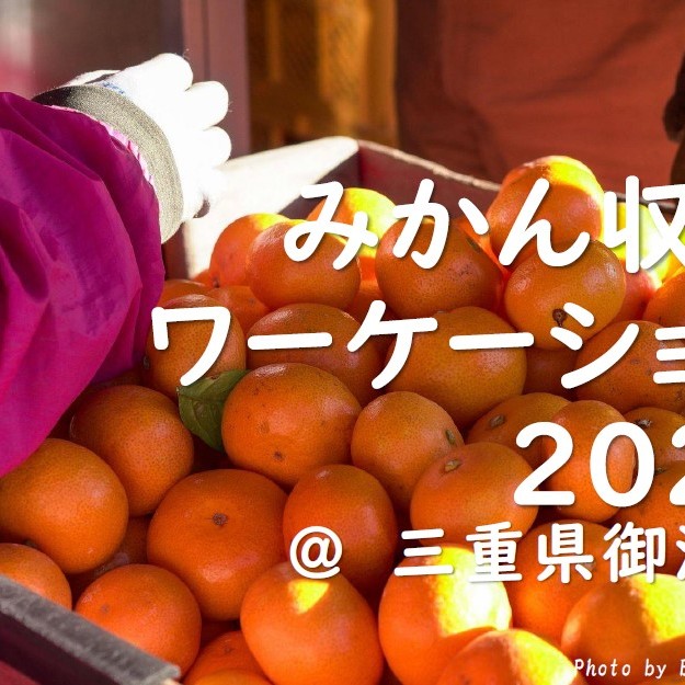 【9/13~10/14、11/25~12/22】みかん収穫ワーケーション2024@御浜町 参加者募集中です!