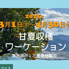(終了しました)\\甘夏収穫ワーケーション@三重県尾鷲市の参加者募集中//